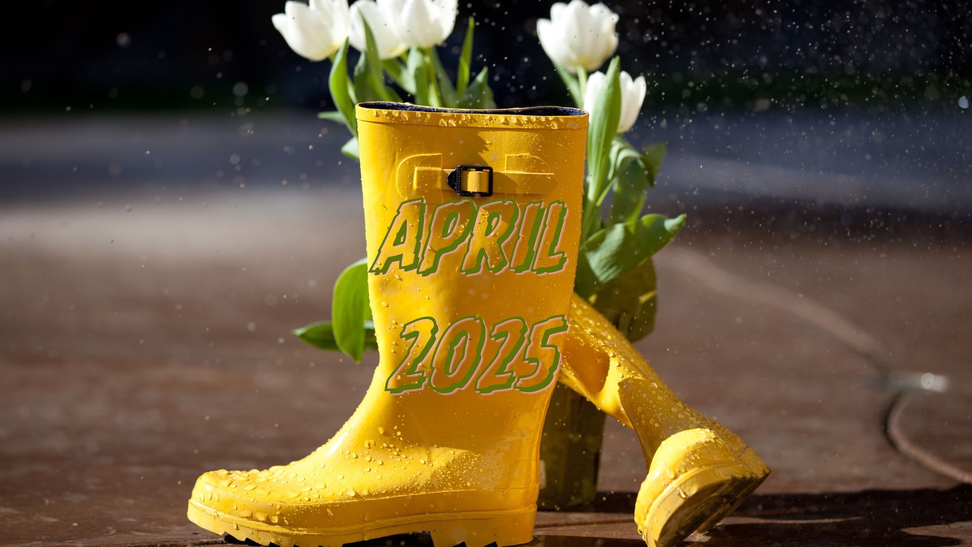2025 April