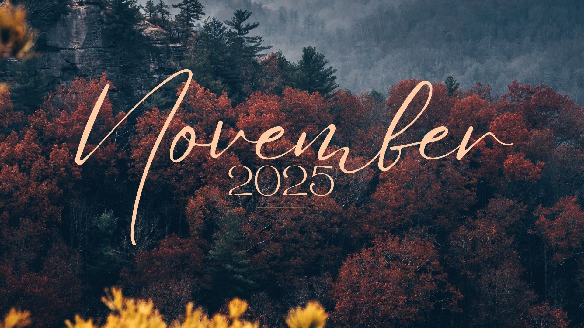 2025 November