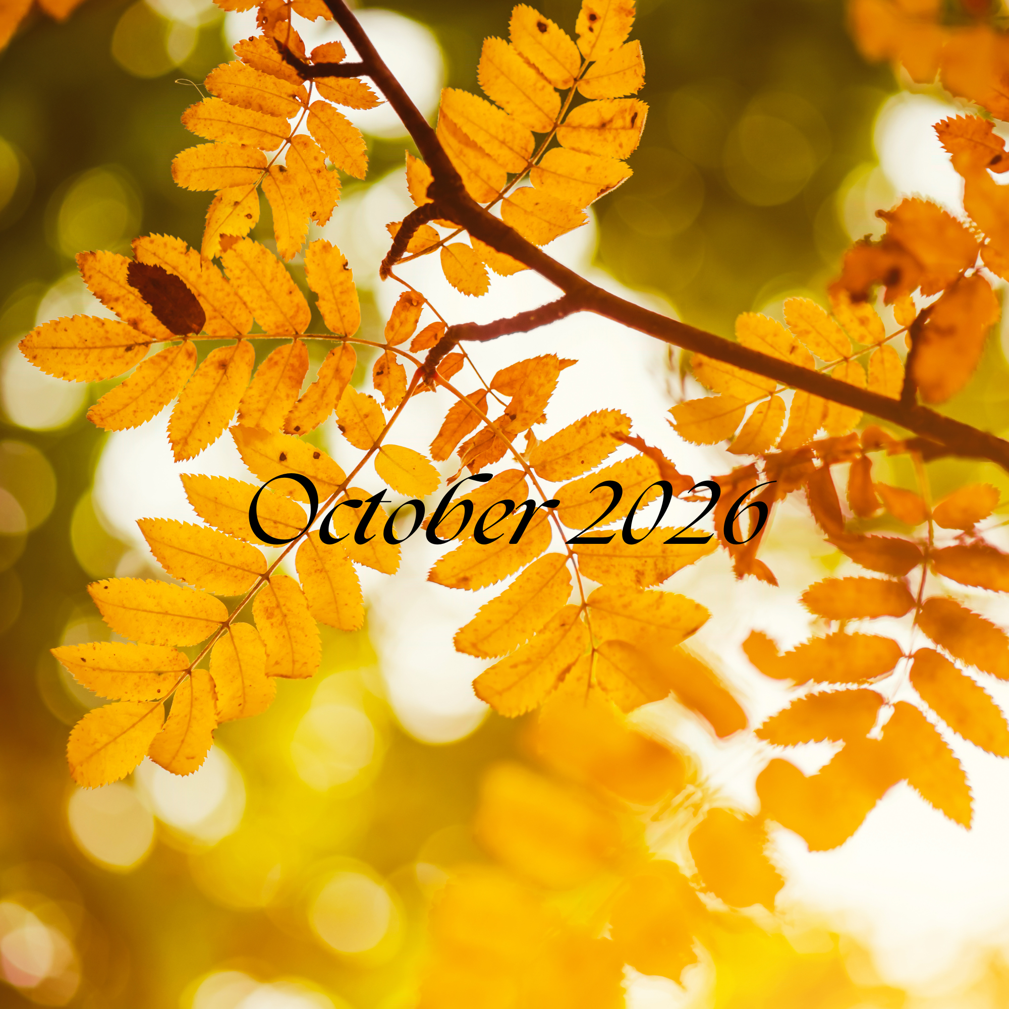 2026 October