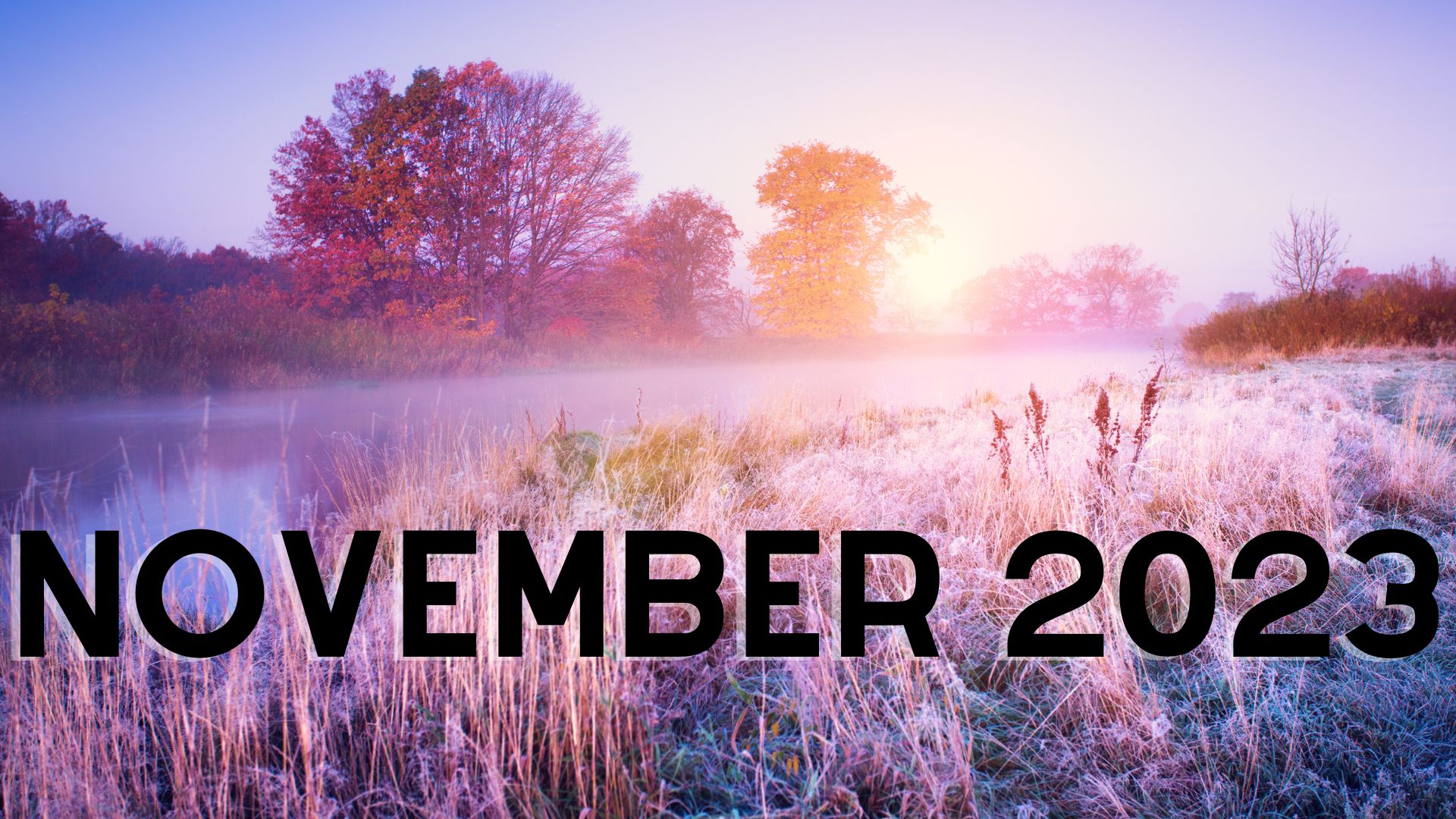 2023 November