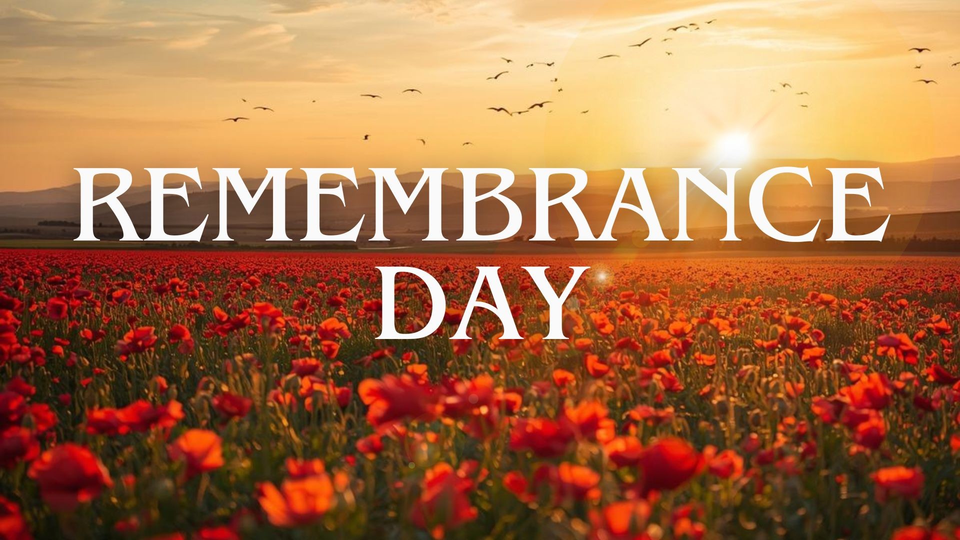 Maple Memories Remembrance Day Service Lucknow