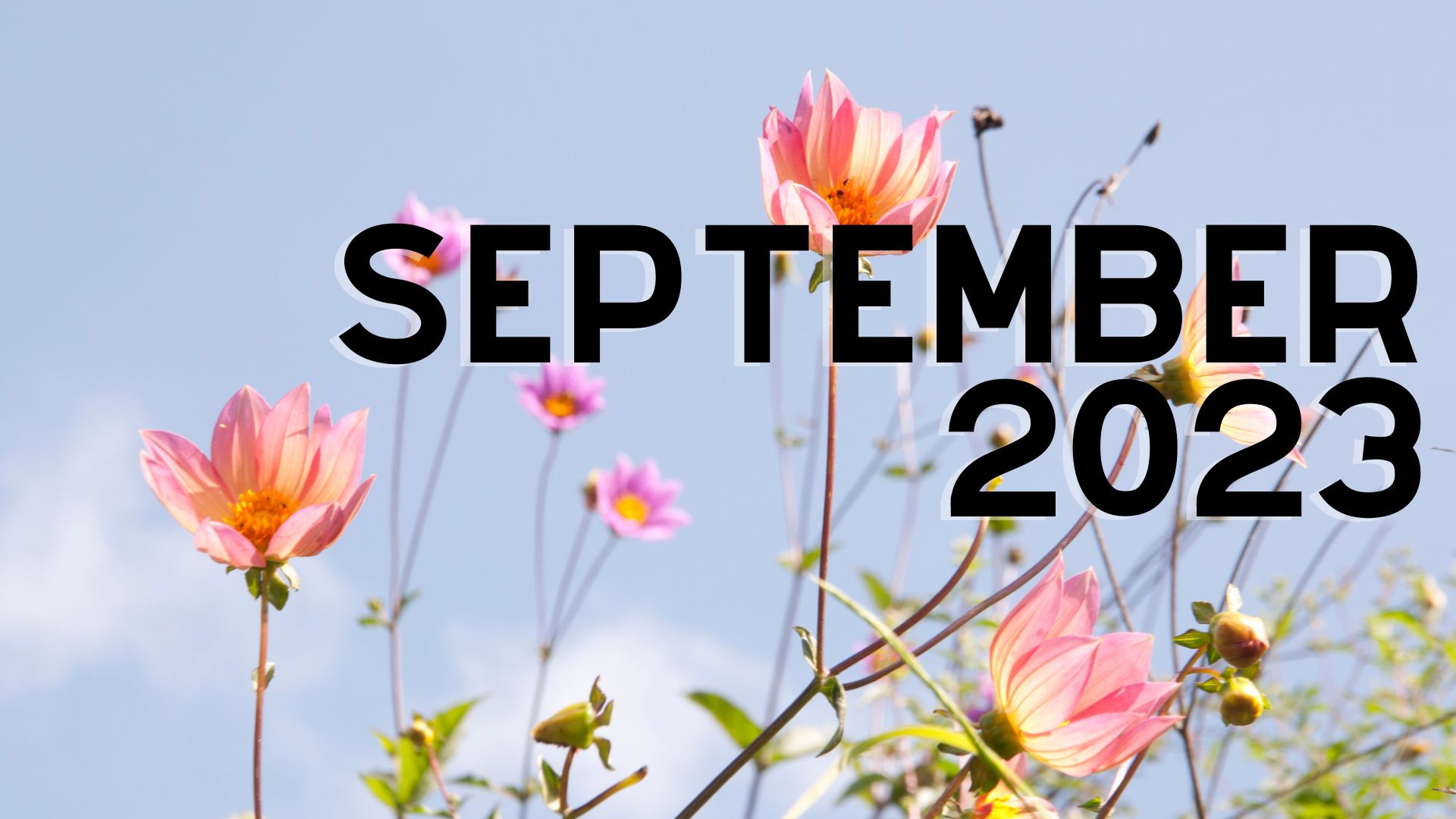 2023 September