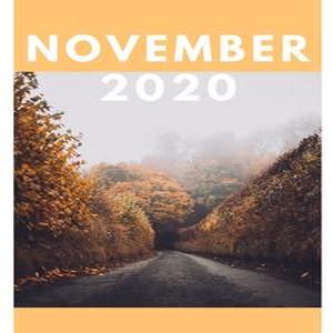 2020 November