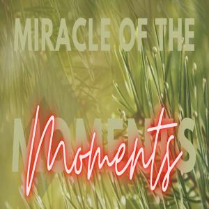 The Miracle of the Moment
