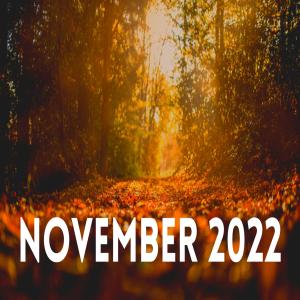 2022 November