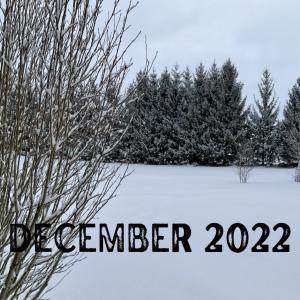 2022 December